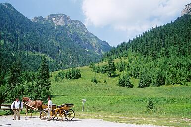Tal Dolina Koscieliska - Górale und eine Pferdekutsche an der Wiese Polana Pisana (Blick nach Westen)