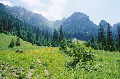 Tal Dolina Koscieliska - Blick von der Wiese Polana Pisana Richtung Süden