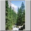 Tal Dolina Koscieliska - Bach Koscieliski Potok zwischen der Wiese Polana Pisana und der Hütte Schronisko Ornak