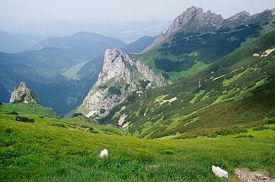 Unterwegs vom Paß Przelecz Kondracka zum Gipfel Kopa Kondracka, Blick nach Nordwesten auf den Gipfel von Maly Giewont und ins Tal Dolina Malej Laki (hinten links)