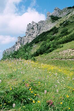 Felsformationen des Berges Sarnia Skala (1377 m)