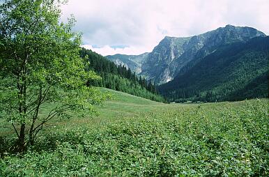 Blick vom Weg Sciezka nad Reglami nach Süden ins Tal Dolina Malej Laki, hinten Czerwone Wierchy
