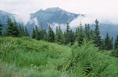 Unterwegs zwischen Myslenickie Turnie und Kasprowy Wierch, Blick auf Giewont