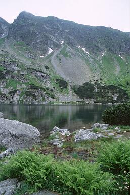 am See Zielony Staw (Grüner Teich) im Tal Dolina Gasienicowa