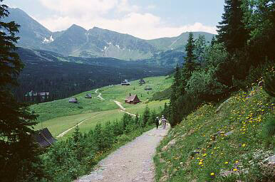 Unterwegs zwischen Kuznice und Tal Dolina Gasienicowa - Blick nach Süden, Hütten auf der Alm Hala Gasienicowa, links hinter den Bäumen die Schutzhütte Murowaniec