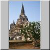 Ayutthaya - Ruinen des ehem. Königstempels Wat Phra Si San Phet, weiße Chedis
