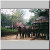 Mon-Village im Dschungel am River Kwai, Elephanten vor einem Haus