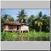 Damnoen Saduak - unterwegs durch die Klongs, Vegetation und Bebauung am Ufer