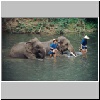 im Elephantencamp "Trainings Center Chiang Dao" bei Chiang Mai, Elephanten beim morgentlichen Bad