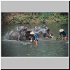 im Elephantencamp "Trainings Center Chiang Dao" bei Chiang Mai, Elephanten beim morgentlichen Bad