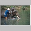 im Elephantencamp "Trainings Center Chiang Dao" bei Chiang Mai, Elephanten beim morgentlichen Bad