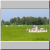 Reisfelder und Grabsteine in der Nähe von Tan An (Long An Provinz)