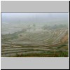 Reisfelder im Nebel beim Dorf Ta Van in der Nähe von Sa Pa