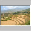 abgeerntete Reisfelder in der Provinz Lai Chau